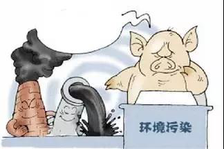 圖片4