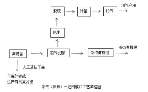 圖片6